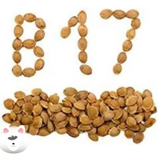 Semilla De Albaricoque - Vitamina B17 Apricot Seed 1 Kilo
