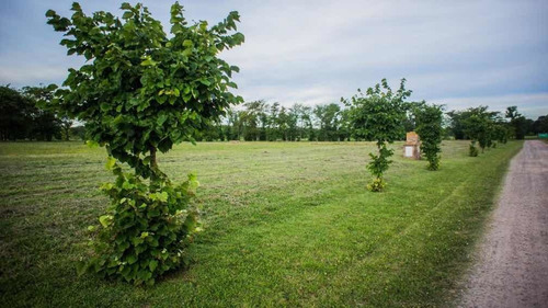 Imagen 3 de 13 de Venta Lote