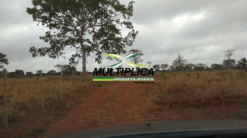 Chácara Em Uberlândia Escritura Individual 20.000 M² Apenas 20 Km Da Cidade - 399