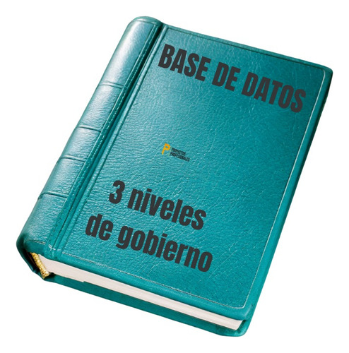  3 Niveles De Gobierno Base De Datos Empresarial