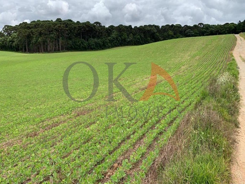 Área Para Loteamento Na Fazenda Rio Grande, Permuta Por Fazenda De Soja Até 150 Kms De Ctba - Ter005 - 68658374
