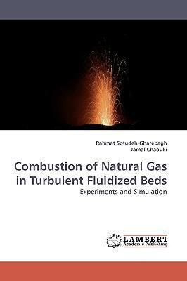 Libro Combustion Of Natural Gas In Turbulent Fluidized Be...
