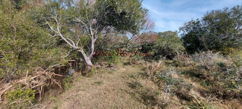 Imagen 14 de 23 de Venta De Chacra 19 Has En San Carlos, Maldonado
