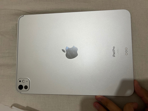 Apple iPad Pro M4 256gb 11 (wi-fi) 8gb Ram Prateado (Usado)