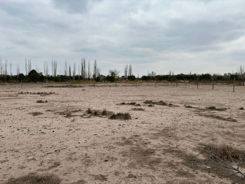 Terreno En Venta En Coquimbito