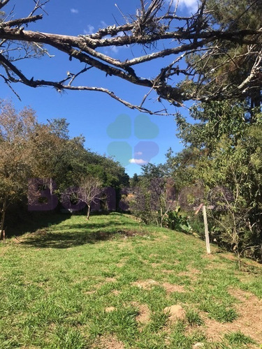 Imagem 2 de 6 de Chácara A Venda, Parque Da Fazenda, Itatiba - Ch07830 - 68711902