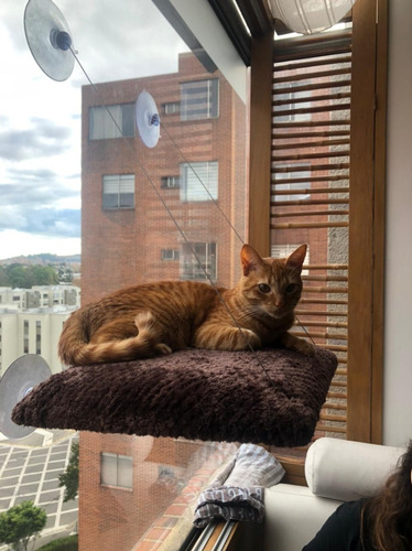 Hamacas De Ventana Para Gatos, Camas Tela Térmica 