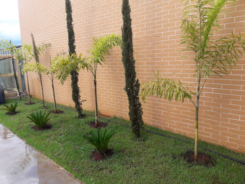 Imagem 6 de 7 de Serviço De Jardinagem E Paisagismo
