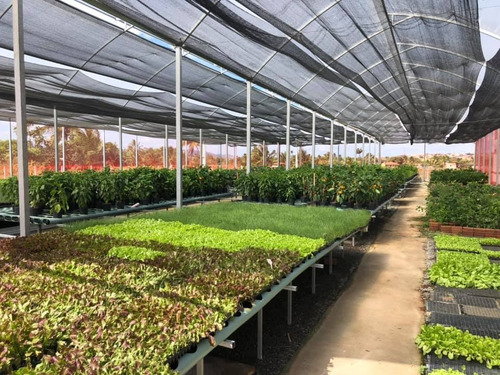 Tela De Sombreamento 50% - 1,50m X 3m Proteção Cobertura