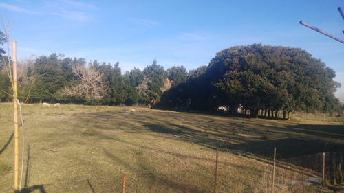 Imagen 10 de 13 de Campo De 6.8 Has En Punta Indio