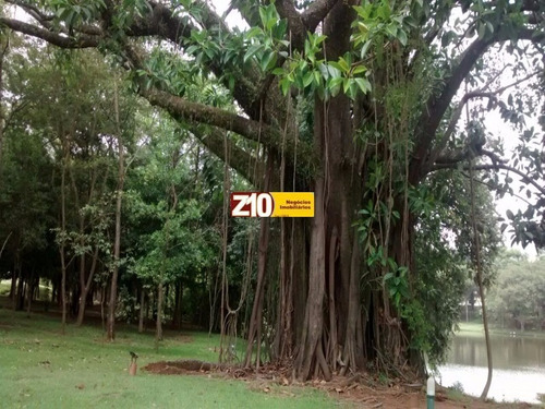Z10 Imóveis - Te05541 - Excelente Terreno Com Terraplanagem Em Condomínio Fechado - Indaiatuba - Te05541 - 32627301