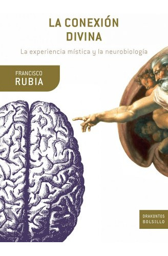 Libro Conexion Divina La Experiencia Mistica Y La Neurobiolo