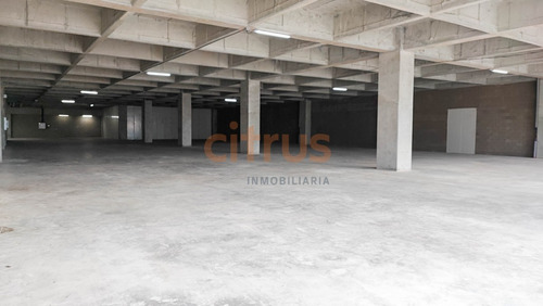 Bodega En Arriendo En Bello 