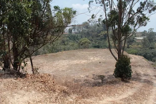 Vendo Terreno En Carrizal