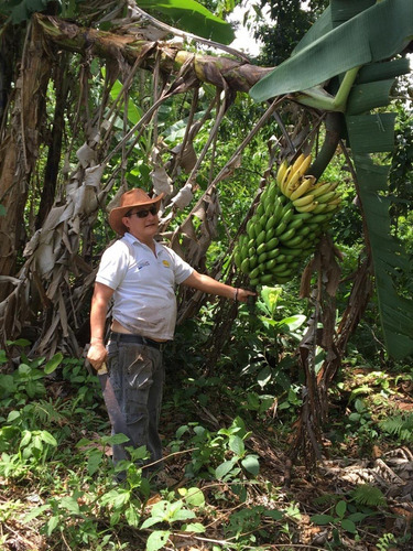 Imagen 10 de 23 de Finca 32 Has/lotes De 3 Has