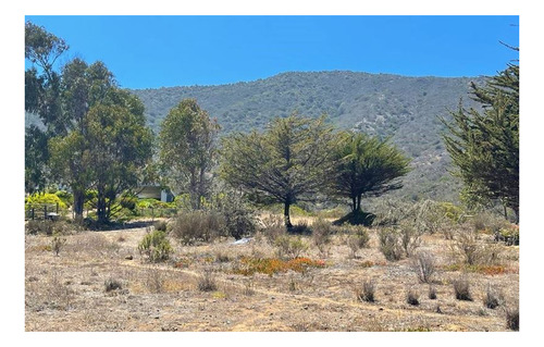 Imagen 4 de 5 de Sitio En Venta En Zapallar Norte