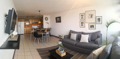 Renta De Apartamento Amueblado En Zona 14