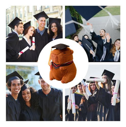Juguete Capybara Relleno Capybara Graduación Capybara Doll T