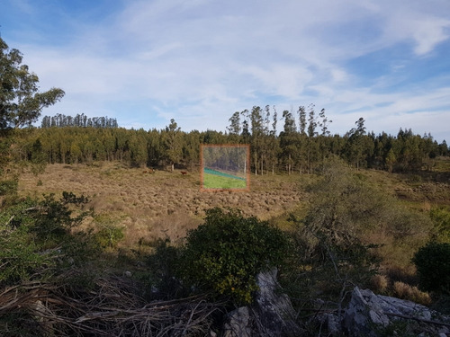 Campo Pueblo Edén 42.5 Hectáreas Con Casa