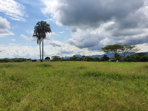  Se Vende Lote En Alcala