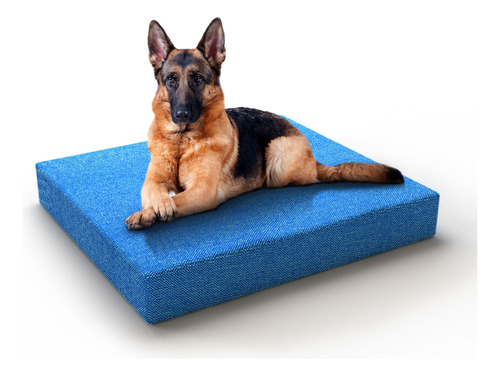 Cama Deluxe De Memory Foam C/funda Lavable P/perro Grande 