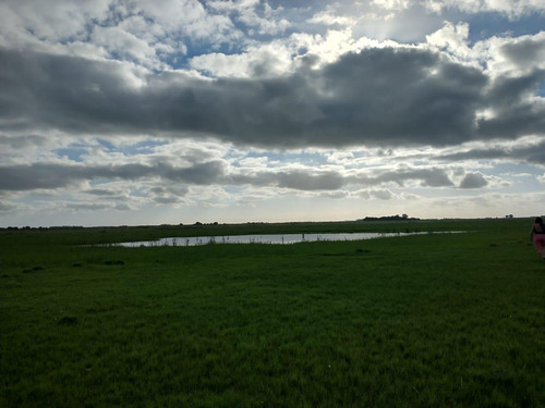 Campo Mixto En Chascomús - Permuta En La Plata