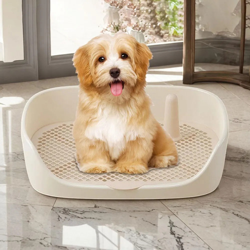 Wf Zz Bandeja Entrenamiento Para Ir Al Baño Para Perros,