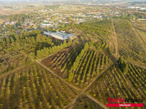 Venta Magnífico Terreno Para Urbanización En Zona De Barrios