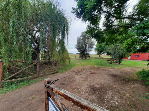 Espectacular Campo Con Dos Casas Y Tinglado