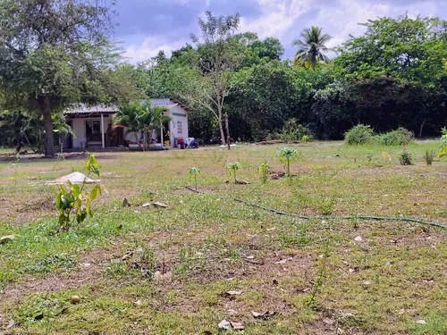 Lote De 5000m2 Santo Tomas (cm&d142).