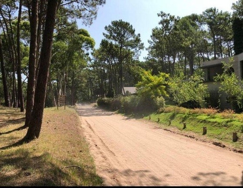 Imagen 8 de 8 de Exclusivo Lote Sobre Av Divisadero Carilo