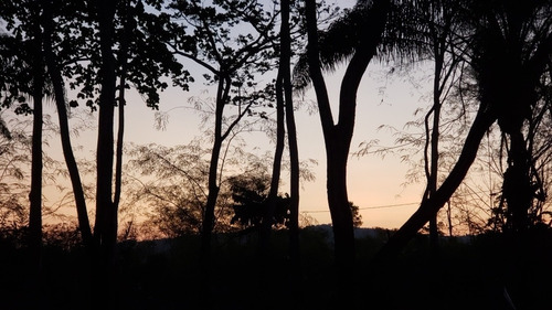 Imagem 9 de 12 de Minichácara São Félix Do Xingu -pa