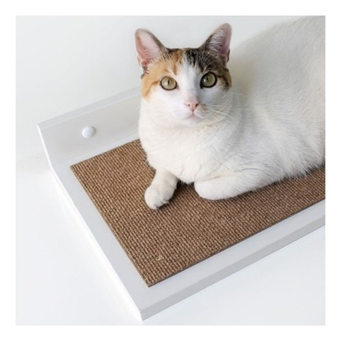 Cama Prateleira Parede Gato Home Cat Gatton G Carpete Cor Branca