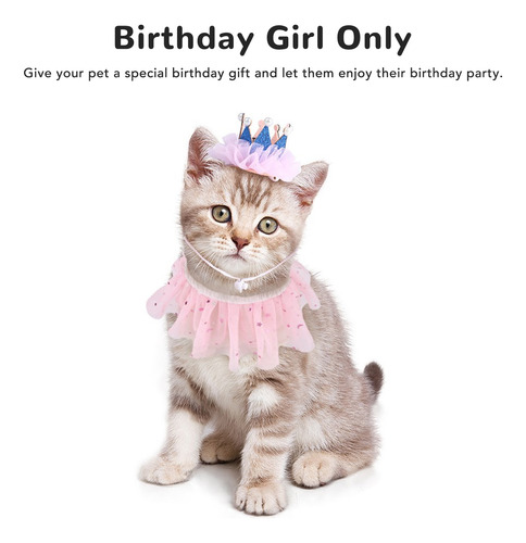 Conjunto De Disfraz De Cumpleaños Para Mascotas, Coronas Aju