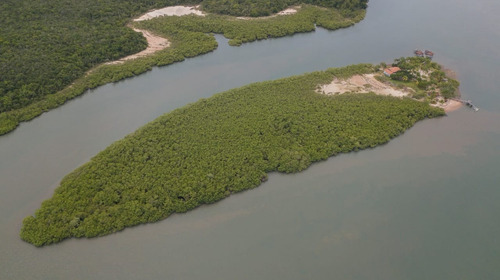 Sitio - Akx01 - 32014508