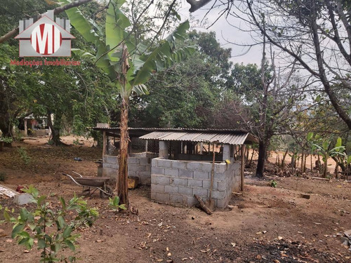 Imagem 28 de 30 de Linda Chácara, Casa De Caseiro, 5 Dormitórios, Piscina, Pomar, Pomar, Salão De Jogos, À Venda, 12200 M² Por R$ 850.000 - Zona Rural - Pinhalzinho/sp - Ch0768