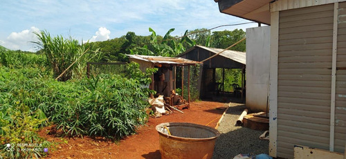 Imagem 6 de 12 de Chácara Com 3 Dormitórios À Venda, 2400 M² Por R$ 320.000,00 - Alto Da Boa Vista - Foz Do Iguaçu/pr - Ch0028