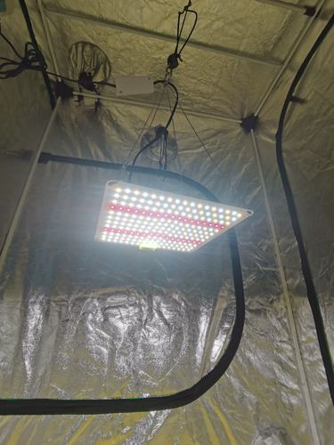 Led Grow Quantum Board 35w/350w Samsung Lm283b + Dpred 660nm Amarelo