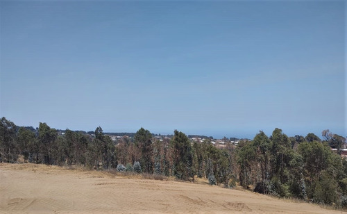 Maitencillo, Sitio De 5.625 Mts En Condominio