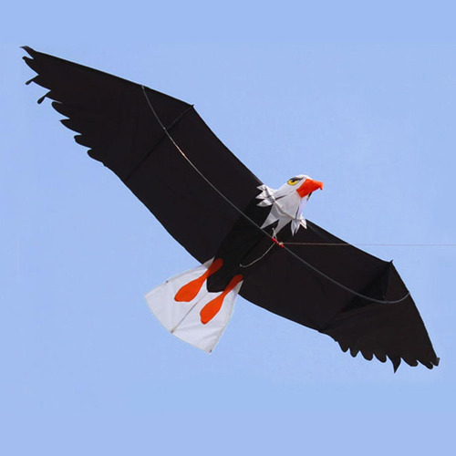 Cometa De Línea Única De Águila 3d Para Los 200x70cm