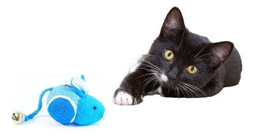 Brinquedo De Gato Bola Tenis Ratinho Com Guizo Pelucia Pet