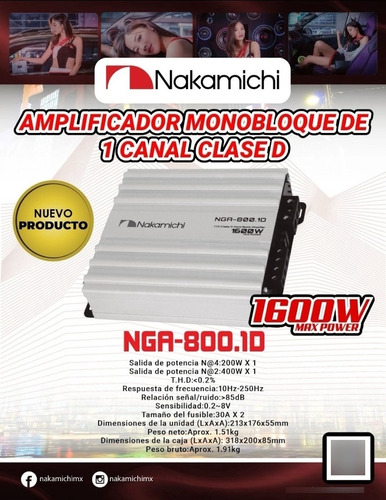 Amplificador Nakamichi Monoblock Clase D Nga-800.1d . 1 Ohms Plateado