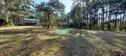 Imagen 1 de 13 de Venta Fracción Tierra Potencial Fraccionamiento - Punta Ballena Camino Lussich