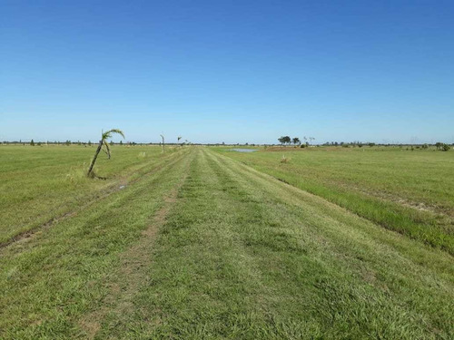 Imagen 7 de 14 de Delpa Vende Lote En Chacras Del Golf