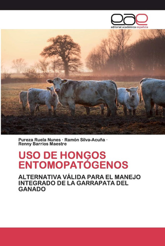 Libro: Uso De Hongos Entomopatógenos: Alternativa Válida Par