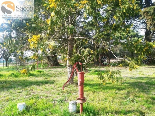 Casa Quinta Buena Forestación En Venta En #trenquelauquen