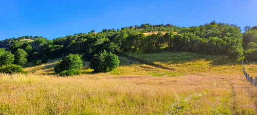 Coyhaique (64864)