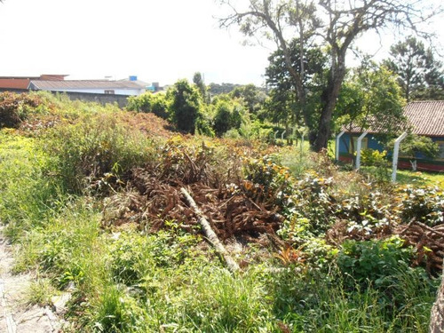 Imagem 10 de 15 de Terreno Para Venda Em Quatro Barras, Jardim Orestes Thá - Te-026_2-175650