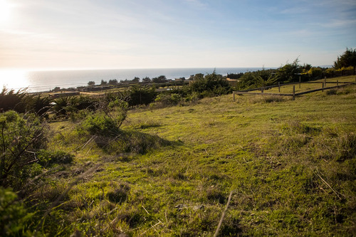 Vista Horizonte Punta De Lobos