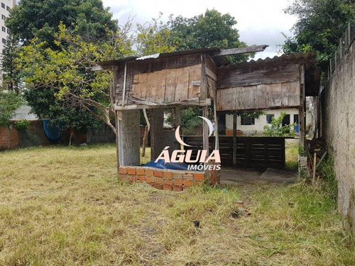 Imagem 8 de 17 de Terreno À Venda, 1000 M² Por R$ 3.500.000,00 - Vila Alzira - Santo André/sp - Te0266